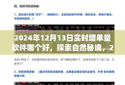 探索自然秘境，開啟心靈之旅，揭秘2024年最佳增單量軟件助你輕松實(shí)現(xiàn)目標(biāo)