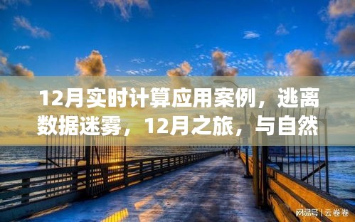 12月實(shí)時(shí)計(jì)算應(yīng)用案例，數(shù)據(jù)迷霧中的逃離之旅與自然美景的實(shí)時(shí)對話