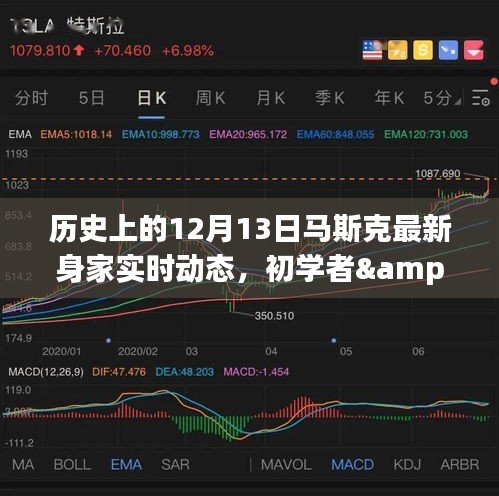 揭秘馬斯克最新身家動(dòng)態(tài)，歷史上的12月13日追蹤詳解與初學(xué)者進(jìn)階指南