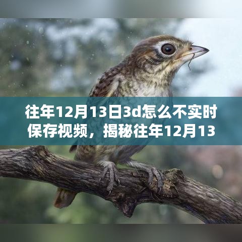 揭秘，為何往年12月13日3D技術(shù)未能實(shí)時(shí)保存視頻的背后真相