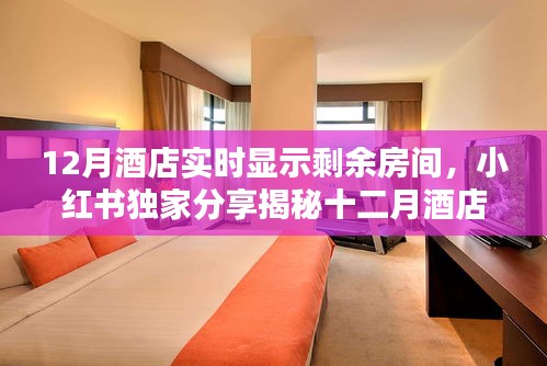 揭秘十二月酒店實時房態(tài)顯示秘籍，小紅書獨家分享，輕松預訂心儀住宿！