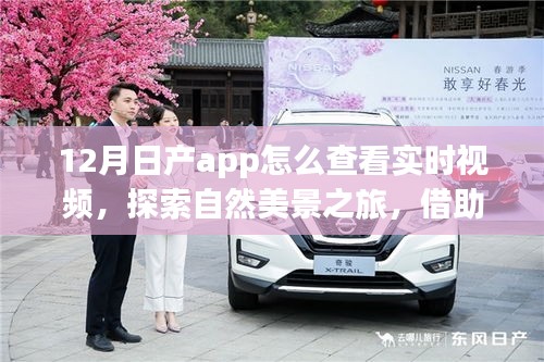 日產(chǎn)App冬季實(shí)時(shí)視頻指南，探索自然美景，心靈與實(shí)景交融之旅