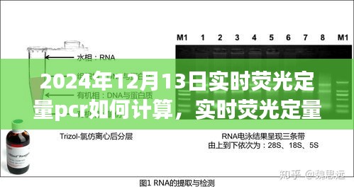 實(shí)時熒光定量PCR技術(shù)操作指南與最新計算方法解析（適用于2024年）