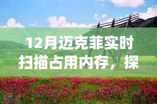 邁克菲實(shí)時掃描與內(nèi)存占用，自然之旅尋找內(nèi)心平和之地