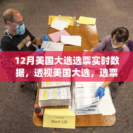 透視美國大選，選票實(shí)時數(shù)據(jù)的深度解讀與影響洞察