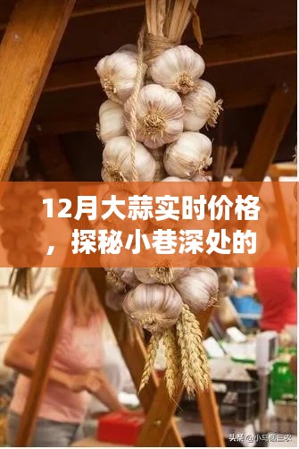探秘小巷深處的蒜香樂園，揭秘大蒜實時價格走勢，洞悉市場變化