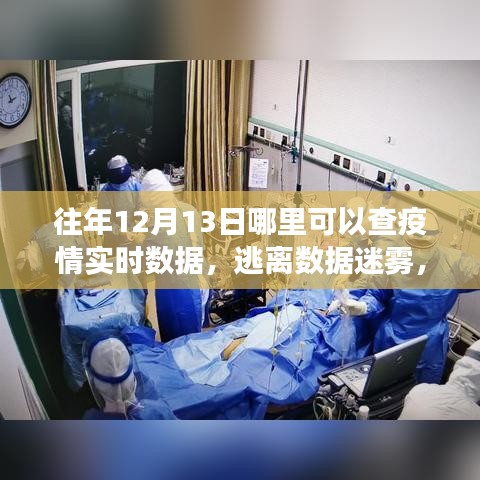 疫情之下的自然之旅，實(shí)時(shí)數(shù)據(jù)查詢與美景中的內(nèi)心平靜探尋之路
