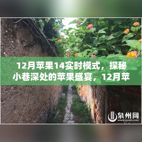 探秘蘋果盛宴，獨(dú)家體驗蘋果14實時模式下的秘密小巷