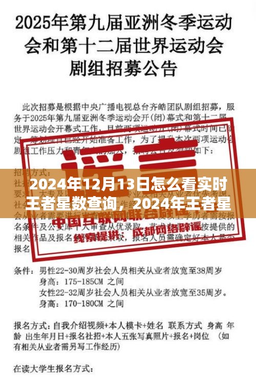 2024年王者星數(shù)實(shí)時查詢指南，從初學(xué)者到進(jìn)階用戶的查詢步驟
