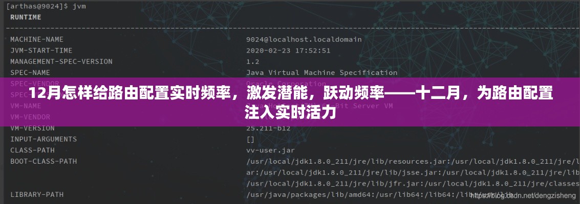 十二月路由配置實時優(yōu)化，激發(fā)潛能，躍動頻率，注入實時活力