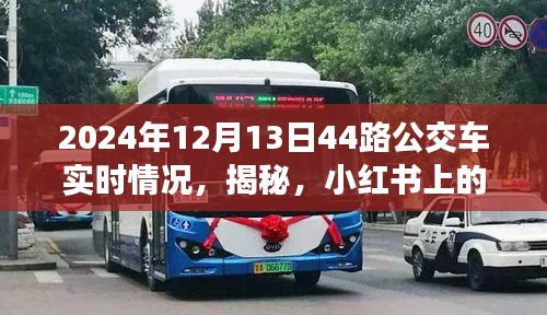 揭秘，小紅書上的2024年12月13日44路公交車實時動態(tài)播報
