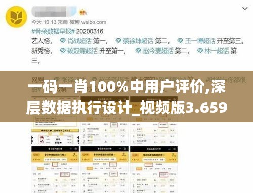 一碼一肖100%中用戶(hù)評(píng)價(jià),深層數(shù)據(jù)執(zhí)行設(shè)計(jì)_視頻版3.659