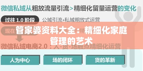 管家婆資料大全：精細化家庭管理的藝術(shù)