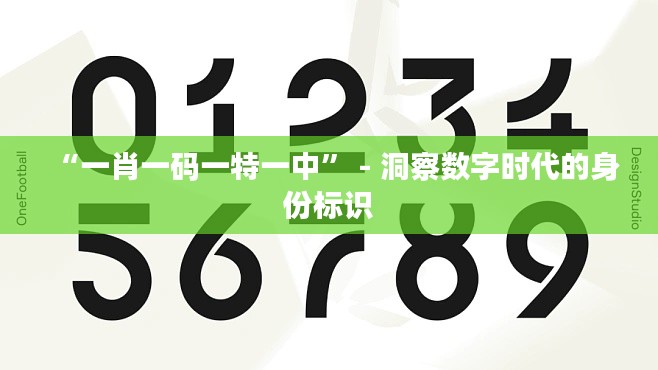 “一肖一碼一特一中” - 洞察數(shù)字時代的身份標識