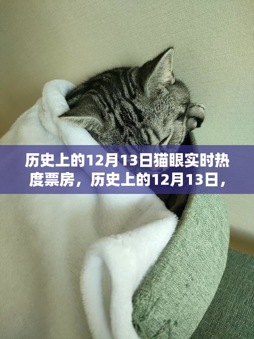 深度解析，歷史上的12月13日貓眼實時熱度票房數(shù)據(jù)回顧