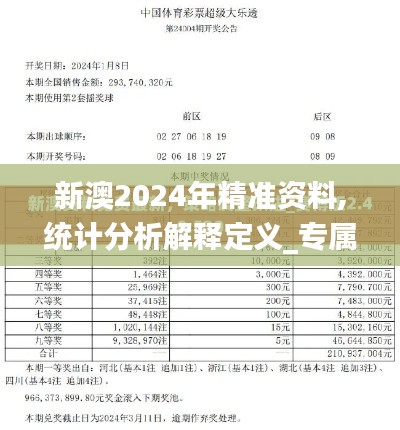 新澳2024年精準資料,統(tǒng)計分析解釋定義_專屬款12.303