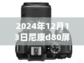 尼康D80相機(jī)屏幕實(shí)時(shí)預(yù)覽功能詳解與技術(shù)指南，前沿技術(shù)與操作指南（2024年12月版）