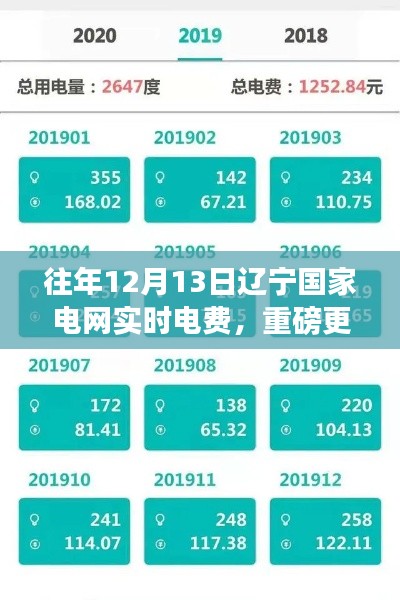 重磅解讀，往年12月13日遼寧國(guó)家電網(wǎng)實(shí)時(shí)電費(fèi)變化細(xì)節(jié)分析！