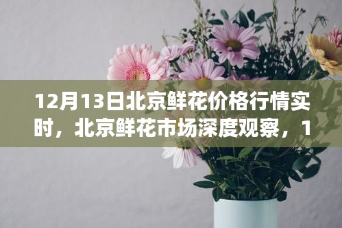 北京鮮花市場(chǎng)深度觀察，12月13日鮮花價(jià)格行情實(shí)時(shí)解析與行情深度探討