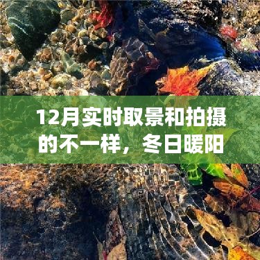 冬日暖陽魔法時刻，與朋友共度的溫馨拍攝之旅