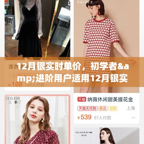 12月銀實時單價查詢與監(jiān)控指南，適合初學(xué)者與進(jìn)階用戶的步驟指南