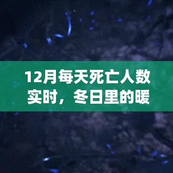 冬日暖心故事，實時關(guān)注12月每日死亡人數(shù)，陪伴時光，溫暖不再孤獨