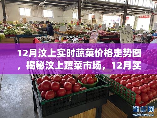 揭秘汶上蔬菜市場(chǎng)，12月實(shí)時(shí)蔬菜價(jià)格走勢(shì)深度解析及趨勢(shì)預(yù)測(cè)