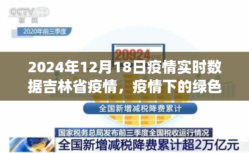 吉林省疫情下的綠色避風港與心靈寧靜的自然探索之旅（實時數據更新）