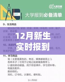 新生實時報到數(shù)據(jù)制作指南，從入門到精通的詳細步驟介紹