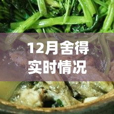 探秘巷弄深處的舍得驚喜，一家隱藏小巷中的特色小店揭秘的十二月故事