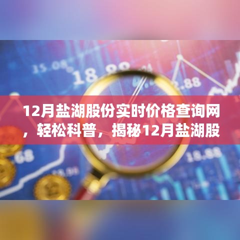 揭秘，如何輕松查詢鹽湖股份實時價格？十二月實時價格查詢網科普指南