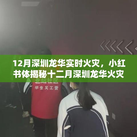 小紅書揭秘，深圳龍華火災(zāi)真相與緊急應(yīng)對實錄，反思與啟示