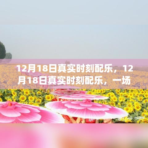 12月18日真實時刻配樂，音樂的盛宴，情感隨旋律流淌