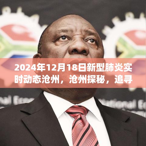 滄州新型肺炎實(shí)時(shí)動態(tài)與探尋自然美景之旅，擁抱寧靜微笑