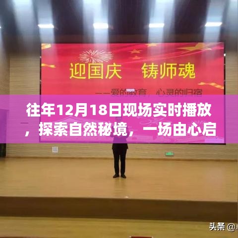 探索自然秘境，一場(chǎng)由心啟航的旅行盛宴，相約自然之門的盛宴