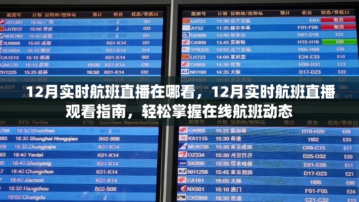 掌握在線航班動(dòng)態(tài)，12月實(shí)時(shí)航班直播觀看指南