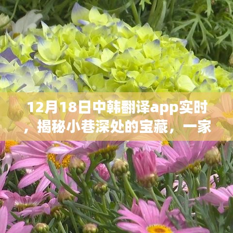 中韓翻譯App帶你探尋小巷深處的寶藏，特色小店的秘密