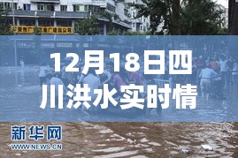 四川洪水退去后的寧靜美景，探索一次遠(yuǎn)離塵囂的心靈之旅（實(shí)時(shí)更新）