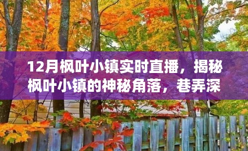 12月楓葉小鎮(zhèn)深度探索，神秘角落與巷弄小店的直播揭秘