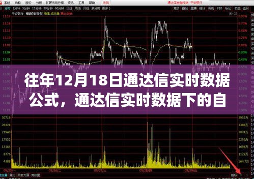 通達(dá)信實(shí)時(shí)數(shù)據(jù)下的自然美景探索之旅，尋找內(nèi)心的寧?kù)o與平和之道