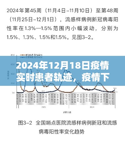 2024年12月18日疫情實時患者軌跡回顧與反思，疫情下的軌跡與反思