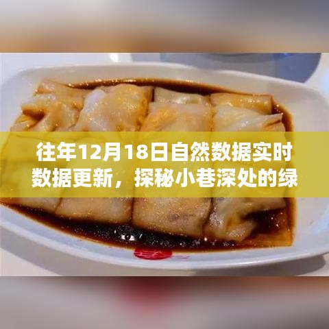 探秘綠色數(shù)據(jù)寶藏，特色小店與自然數(shù)據(jù)實(shí)時(shí)共舞，小巷深處的最新更新動(dòng)態(tài)