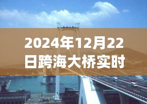 跨海大橋壯麗景色與寧靜之旅，實(shí)時探尋橋梁下的秘密之旅（2024年跨海大橋?qū)崟r報道）