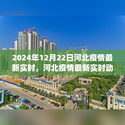 河北疫情最新實時動態(tài)觀察報告，多維度視角解讀與深度分析（2024年12月22日觀察點）