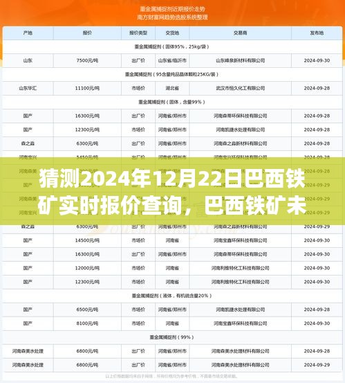 2024年12月22日巴西鐵礦實(shí)時(shí)報(bào)價(jià)預(yù)測(cè)與展望，未來(lái)走勢(shì)及市場(chǎng)分析