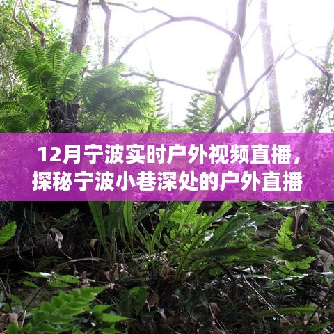 12月寧波戶(hù)外直播探秘，冬日風(fēng)情直播秀，小巷深處的秘境展示