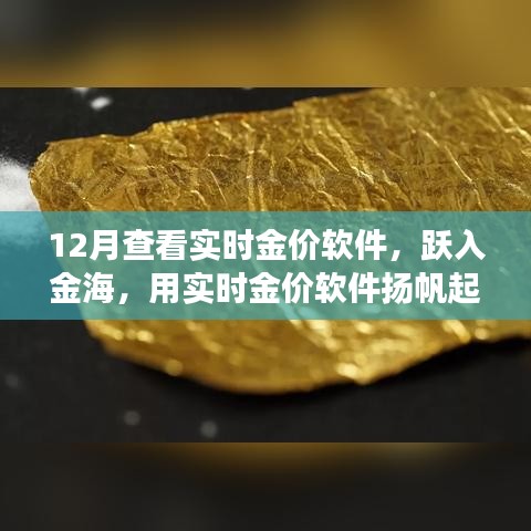 躍入金海，實時金價軟件助你揚帆起航，金銀財富與自信人生的學習之旅