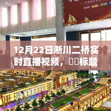 冬日淅川二橋之旅，追尋自然美景與內(nèi)心寧靜的直播之旅