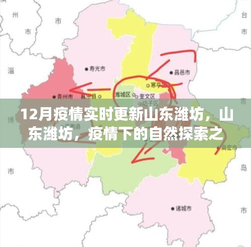 山東濰坊疫情下的自然探索之旅，尋找內(nèi)心的寧?kù)o與力量，實(shí)時(shí)更新疫情動(dòng)態(tài)