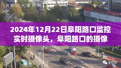 阜陽(yáng)路口監(jiān)控下的生活觀察，學(xué)習(xí)變化，自信成就未來(lái)之路